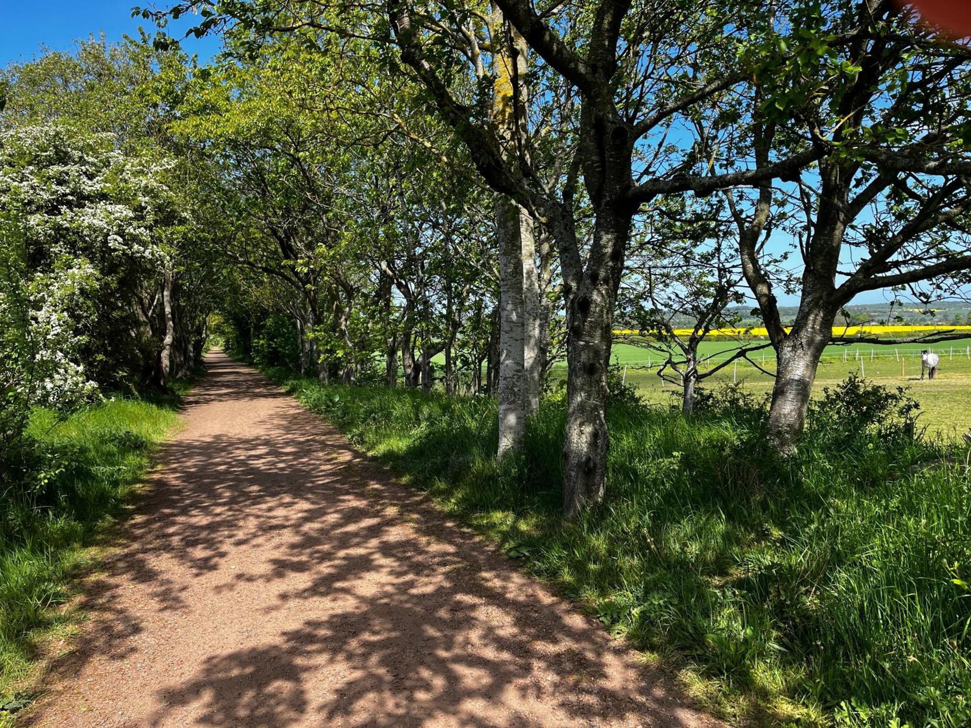 Islay House,Comfortable Home With Private Garden, Pencaitland, East Lothian, Scotland מראה חיצוני תמונה